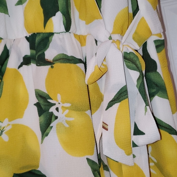 Lemon Dress - Picture 3 of 6